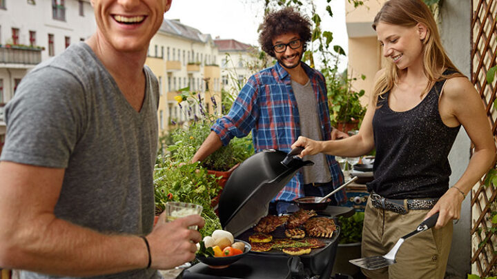 Tragbarer Gasgrill Weber Q 1200 im Test-Überblick