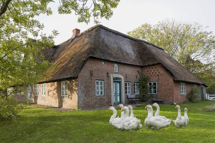 Mit bookitgreen unkompliziert nachhaltige Unterkünfte finden