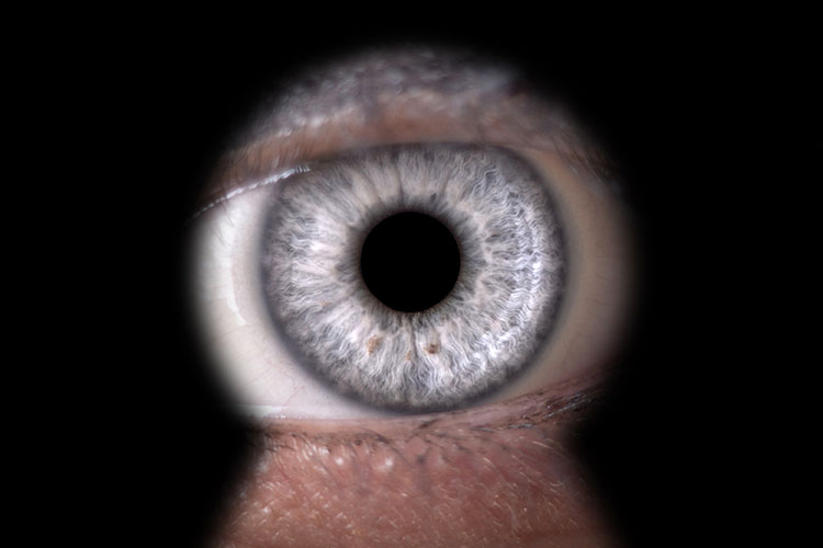 Private Videoüberwachung – erlaubt oder verboten?