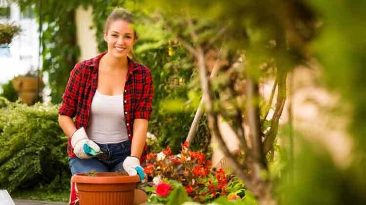 Smart Garten: Intelligent wässern, mähen und Pflanzen pflegen