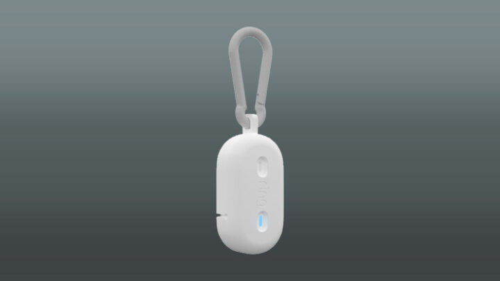 Ring Fetch: Dieser Tracker schlägt Alarm, wenn der Hund wegläuft