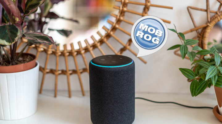 MOBROG ein Umfrageportal zum Geld verdienen als Alexa Skill