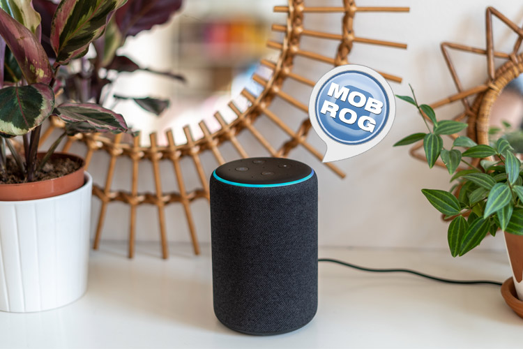 MOBROG ein Umfrageportal zum Geld verdienen als Alexa Skill