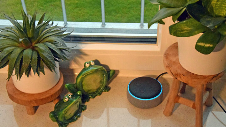 Alexa Routinen per Schalter starten – geht das?