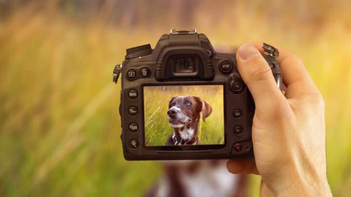 Digitalkamera Test-Überblick: Vergleich, Tests, Angebote