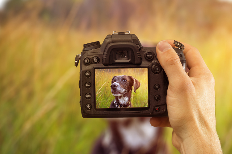 Digitalkamera Test-Überblick: Vergleich, Tests, Angebote