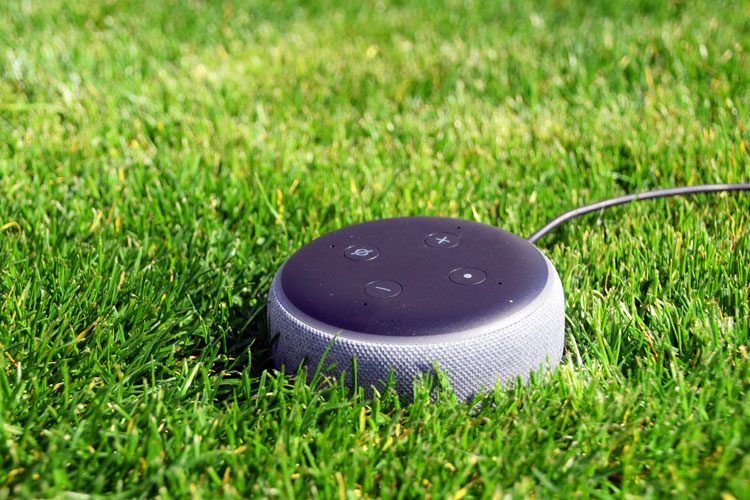 Alexa im Garten nutzen – diese Möglichkeiten gibt es