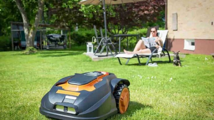 12 Tipps für smarte Gärtner: Bereit für den Frühling