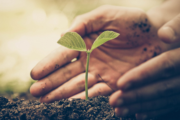 FarmInsect – Automatisierte regionale Insektenzucht