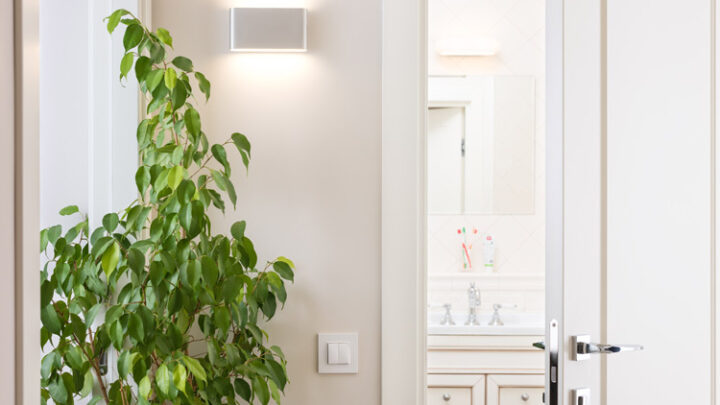 WLAN-Lichtschalter Test-Übersicht: Top-Schalter Vergleich