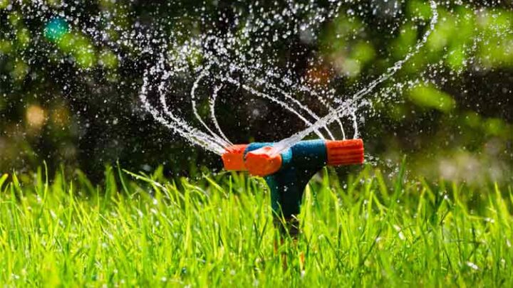 Automatische Gartenbewässerung: Diese Möglichkeiten gibt es