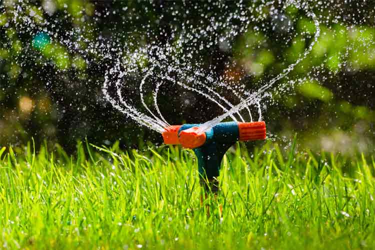 Automatische Gartenbewässerung: Diese Möglichkeiten gibt es