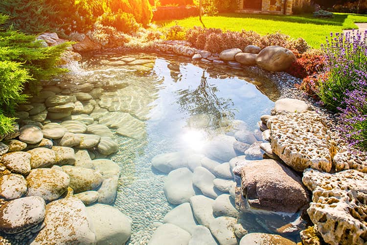 Teichsauger im Test Vergleich – die besten Schlammsauger