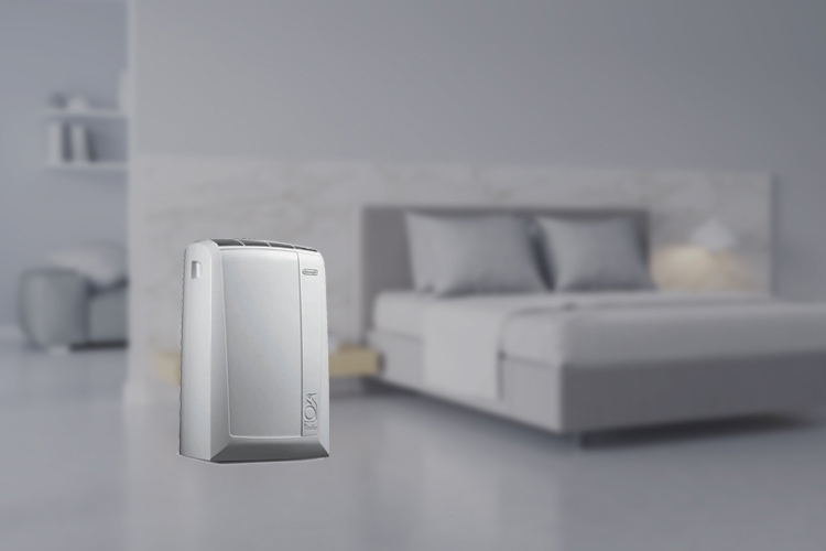 De’Longhi Pinguino PAC N82 ECO Klimagerät im Test-Überblick