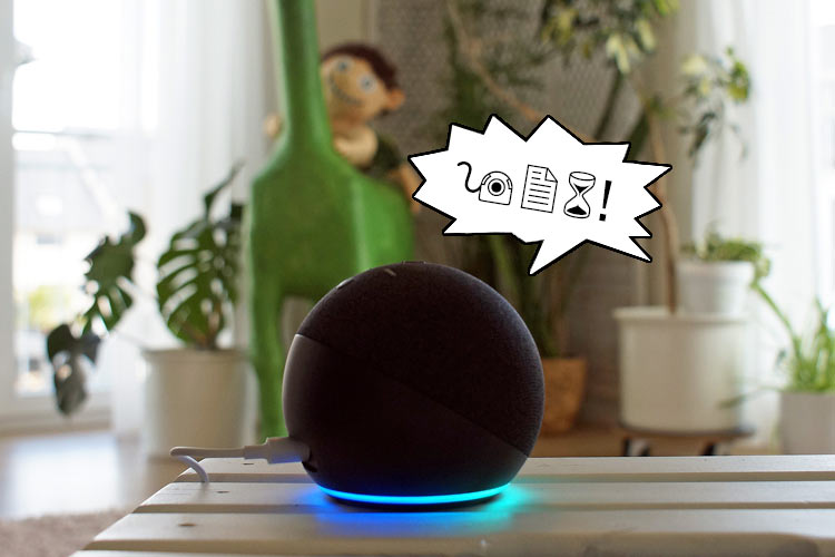 Das sind die bizarrsten Alexa Sprachbefehle