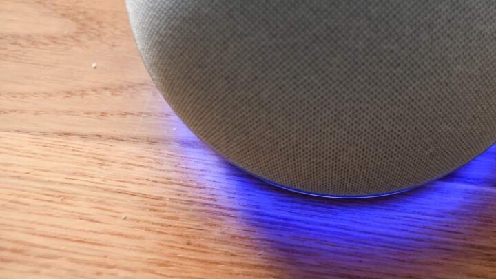 Alexa Skill Benachrichtigungen ausschalten – so geht’s