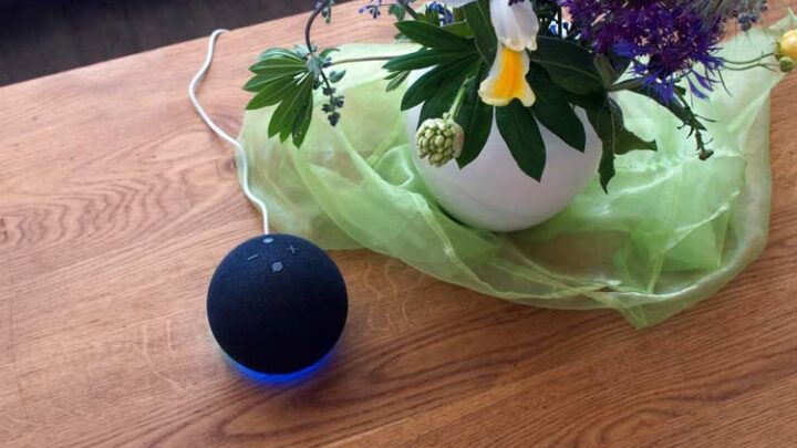 Übersetzen mit Alexa – so geht’s