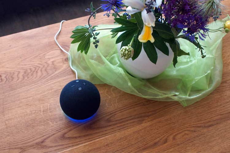 Übersetzen mit Alexa – so geht’s