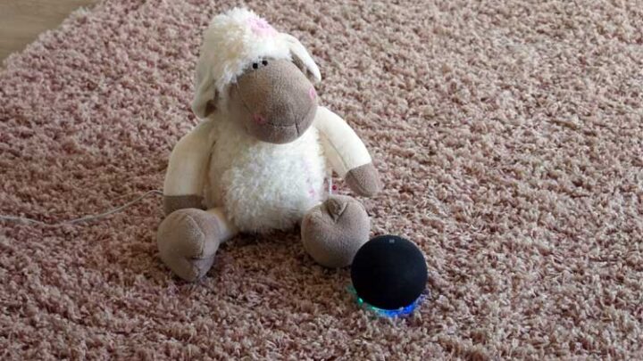 Amazon Echo Geräuscherkennung starten – so geht’s