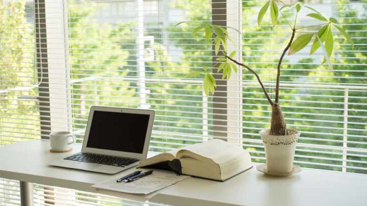 Jalousien – Alleskönner in Sachen Sicht- und Sonnenschutz