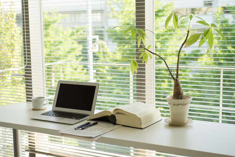 Jalousien – Alleskönner in Sachen Sicht- und Sonnenschutz