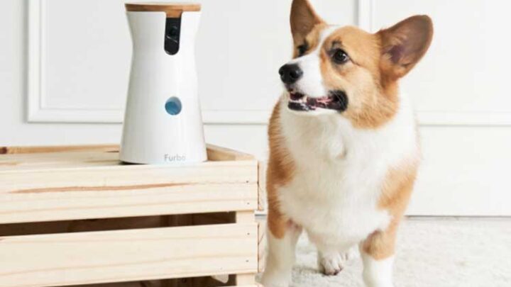 Furbo Hundekamera mit Leckerli-Funktion im Test Überblick