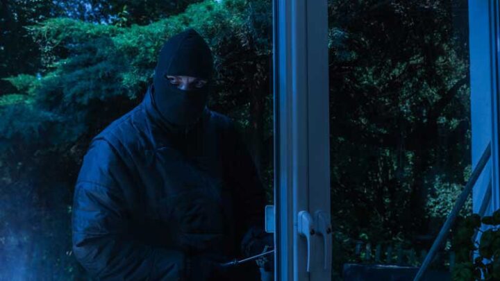 Polizeiliche Kriminalstatistik 2021: Sicherheit in Zahlen