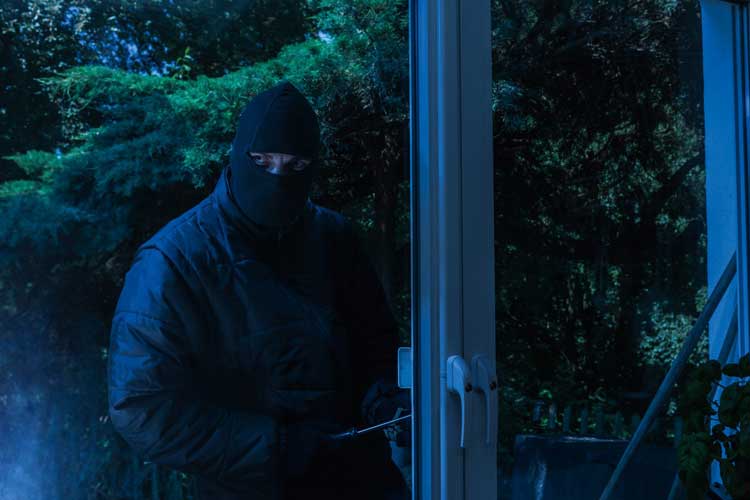 Polizeiliche Kriminalstatistik 2021: Sicherheit in Zahlen