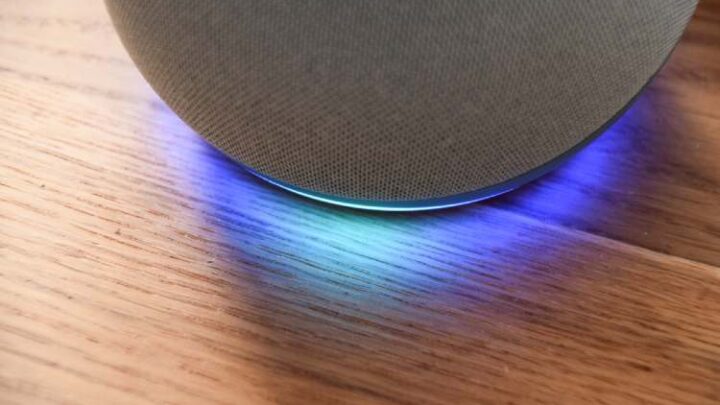 Alexa Gruppenanrufe – so geht’s