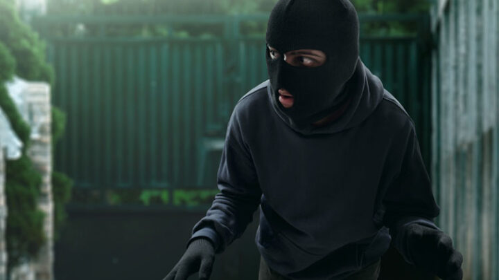 7 effektive Tipps zur Sicherung des Gartens