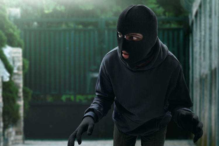 7 effektive Tipps zur Sicherung des Gartens