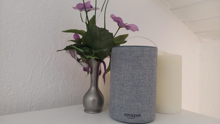 Alexa Skills löschen – so geht’s