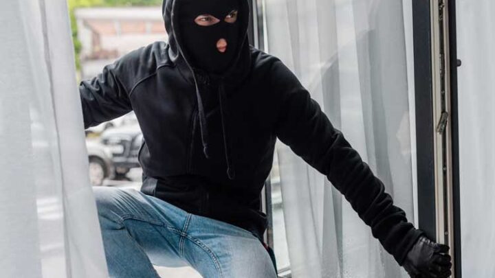 Sicherheitsstudie 2022: Wie sicher ist Deutschland?