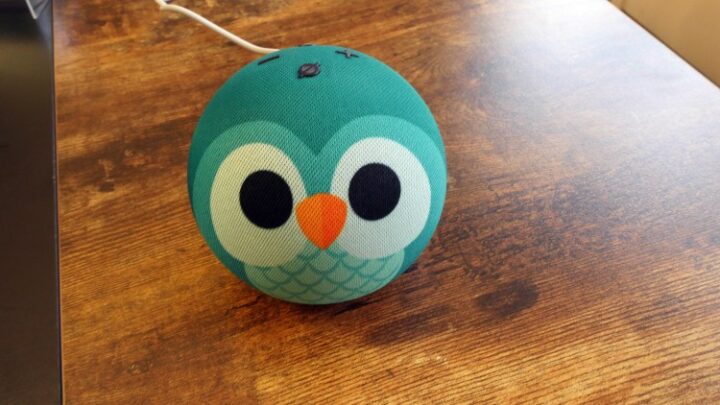 Amazon Echo Dot Kids einrichten – so geht‘s