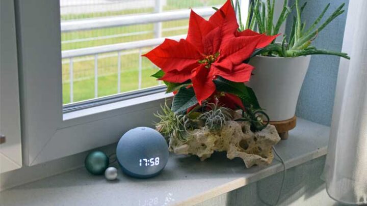 Amazon Echo unterm Weihnachtsbaum? Die besten Tipps zur Nutzung
