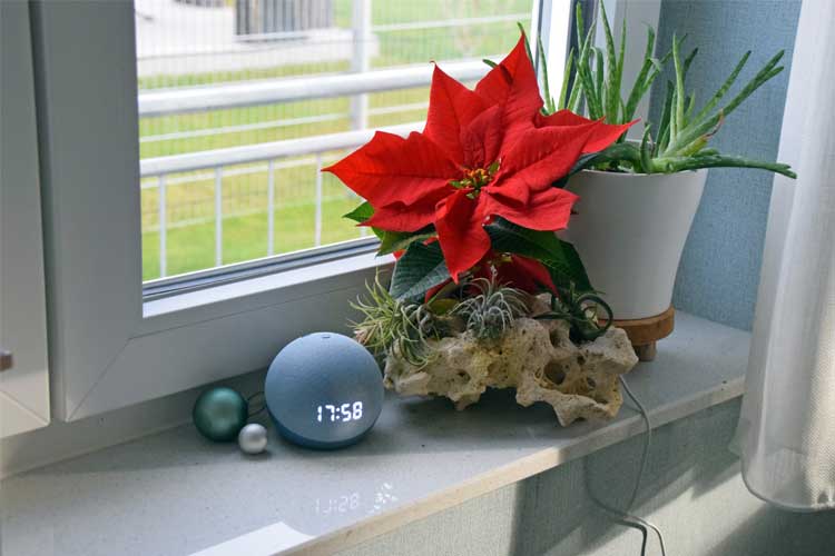Amazon Echo unterm Weihnachtsbaum? Die besten Tipps zur Nutzung