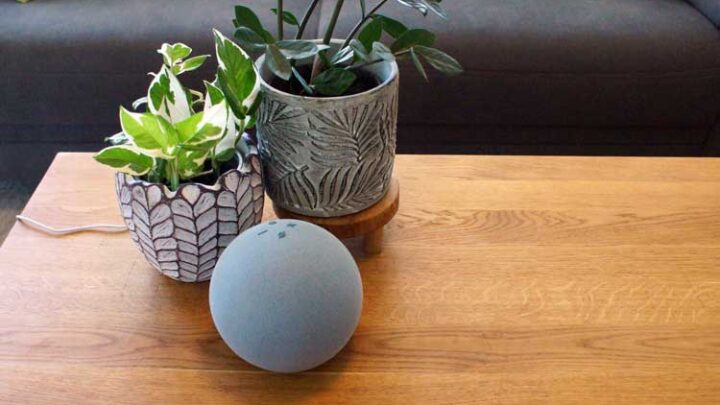 Streaming Probleme mit Amazon Echo lösen – so geht’s