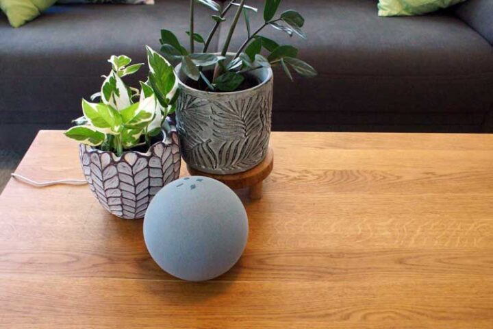 Streaming Probleme mit Amazon Echo lösen – so geht’s