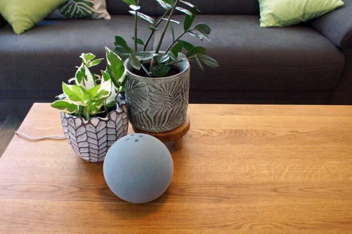 Echo Lautsprecher aus Nutzerkonto löschen – so geht’s