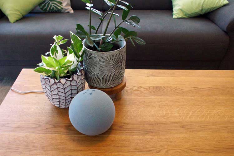 Echo Lautsprecher aus Nutzerkonto löschen – so geht’s