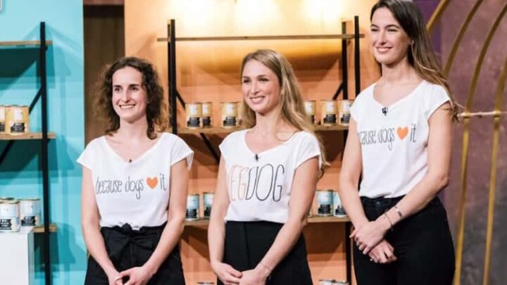 VEGDOG – die Ernährung des veganen Hundes