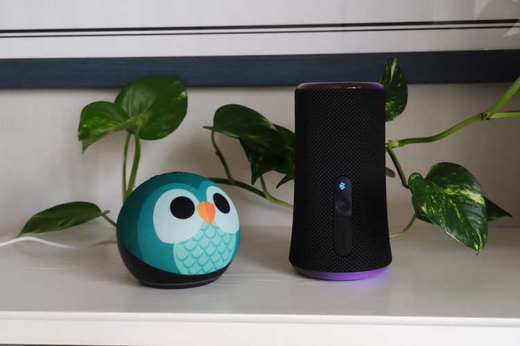 Amazon Echo mit Bluetooth verbinden – so geht’s