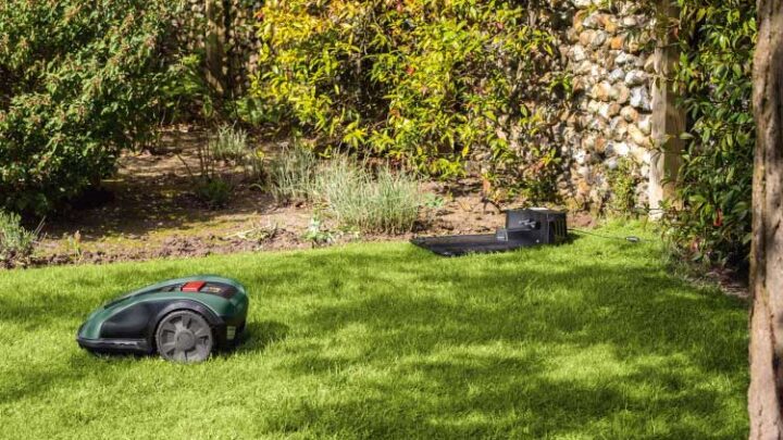 Smarte Gartengeräte bei tink um bis zu 50% reduziert!