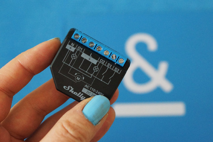 Shelly anschließen – so geht‘s