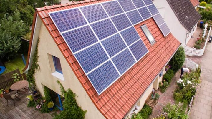 DZ-4 Erfahrungen: Test und Kundenbewertungen im Check