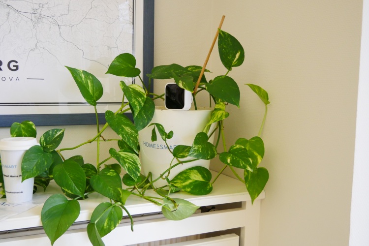 Top Überwachungskameras bei MediaMarkt über 40 % reduziert