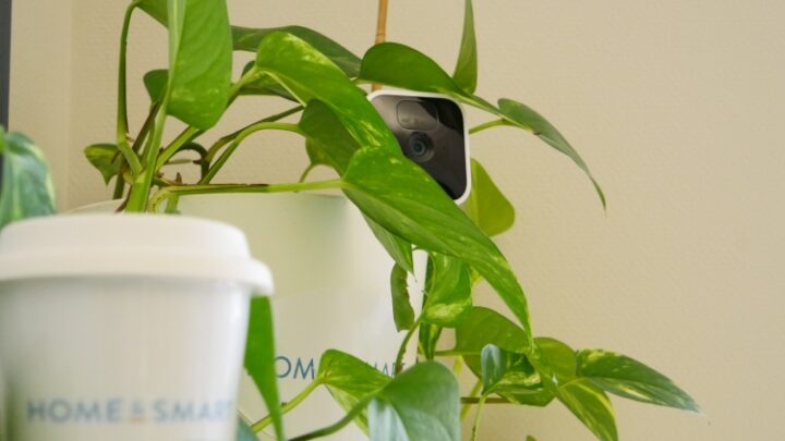 Blink Indoor-Kamera im Test – so gut überwacht sie