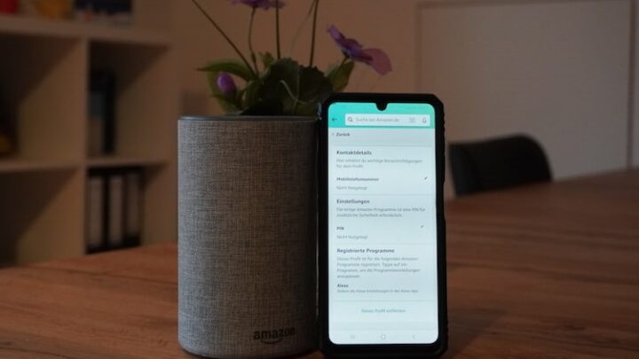 Alexa Familienmitglieder entfernen – so geht’s