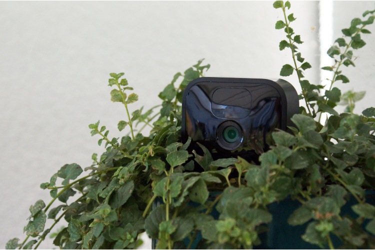 Blink Outdoor Test – So gut ist die Überwachungskamera