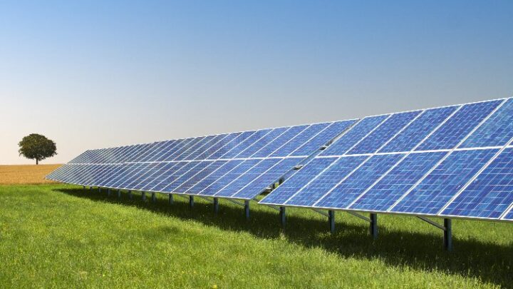 PV Freiflächenanlagen: Aufbau, Kosten und Angebote